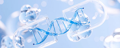 Rona Therapeutics Announces IND Filing of RN3161, a Highly Potent and Durable INHBE siRNA for Obesity