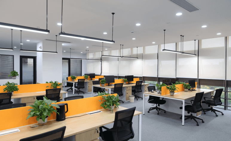 Office Area